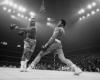 muhammad ali